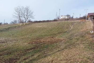 Teren de 1305 mp, în Central - 4