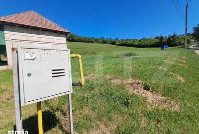 Teren de 9600 mp, în Criș