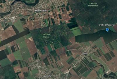 Teren agricol extravilan de 8918 mp, în Moara Vlăsiei