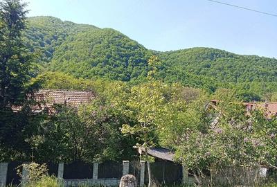 Teren de 1600 mp, în Central - 9