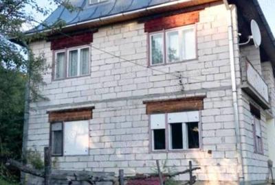 Casă cu Teren 3500 Mp în Vișeu de Jos