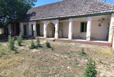 Casă cu 3 camere în Central