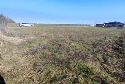 Teren Construcții intravilan de 700 mp, în Ciolpani - 6