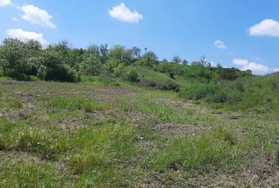 Teren de 7000 mp, în Poșta (Topliceni) - 4