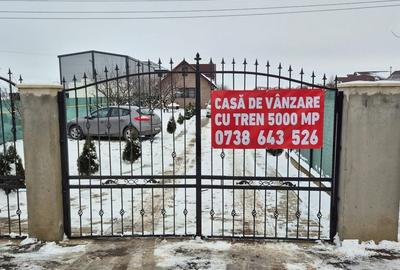 Casă cu 5 camere cu Teren 5000 Mp în Vidra - 10