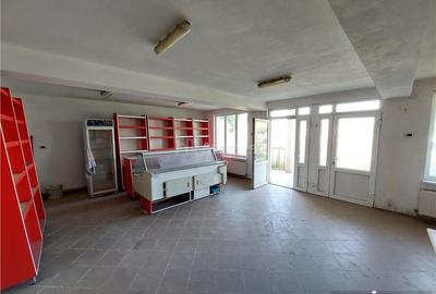Casă cu Teren 1400 Mp în Mărăcineni - 9