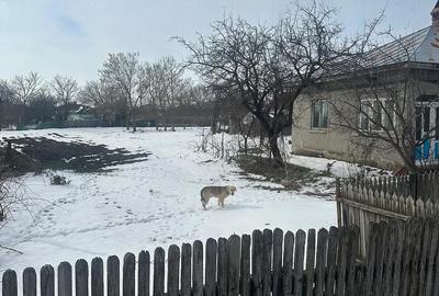 Casă cu 4 camere cu Teren 2000 Mp în Ciorăști - 8