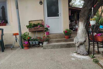 Casă cu 3 camere cu Teren 1800 Mp în Central
