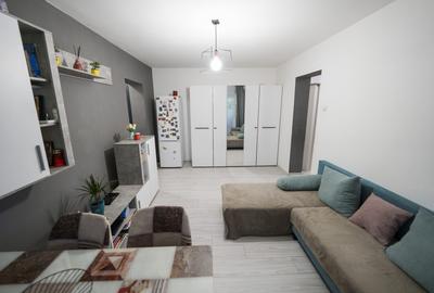 Apartament cu 2 camere semidecomandat, mobilat în Brazda lui Novac - 2