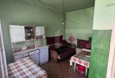 Casă cu 3 camere cu Teren 3900 Mp în Ernei - 4