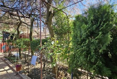 Casă cu 9 camere cu Teren 989 Mp în Oncea - 2