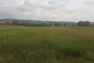 Teren în Bascov - 2