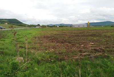 Teren agricol extravilan de 19000 mp, în Sud - 2