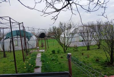 Casă cu 4 camere în Albina - 3