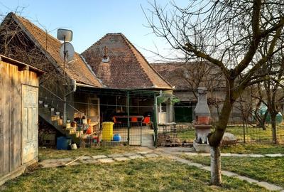 Casă cu 5 camere cu Teren 46000 Mp în Coroi - 10