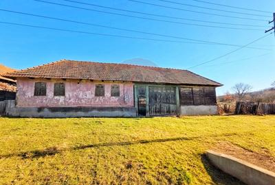 Casă individuală cu 4 camere cu Teren 10486 Mp în Ierșnic - 9