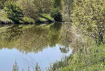 Teren de 2621 mp, în Petrăchioaia - 1