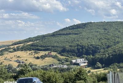 Teren de 1000 mp, în Feleacu
