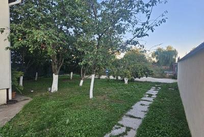 Casă cu 4 camere în Domnești