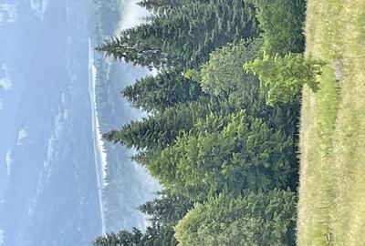 Teren de 4000 mp, în Durău