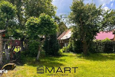 Casă cu 2 camere cu Teren 660 Mp în Axente Sever - 3