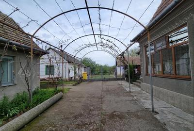 Casă individuală cu 4 camere cu Teren 1625 Mp în Central - 3