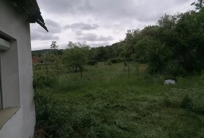 Casă cu 2 camere în Aleșd - 2