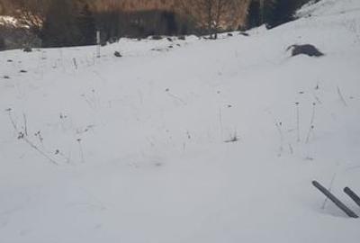 Teren de 4860 mp, în Dâmbovicioara