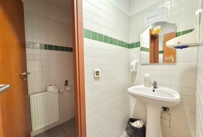 Spațiu comercial, de 240 mp, în Podul de Fier - 11