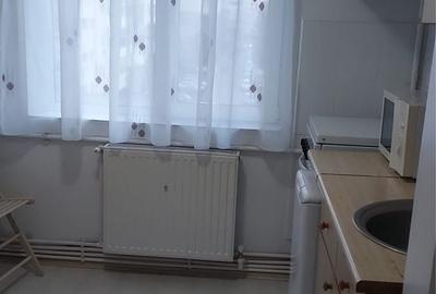 Garsonieră decomandată în Lacu - 3