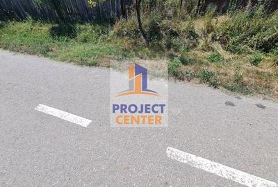 Casă cu 3 camere cu Teren 4525 Mp în Băbana