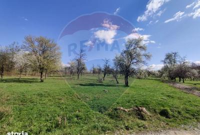 Teren de 1778 mp, în Dumbrăvița - 3