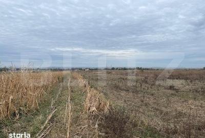 Teren de 2539 mp, în Șimnicu de Sus