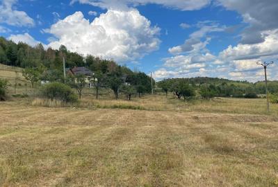 Teren de 5200 mp, în Tranișu - 2