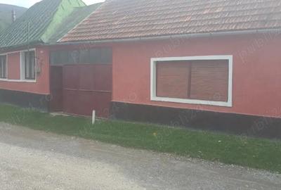 Casă cu 3 camere cu Teren 495 Mp în Văliug - 5