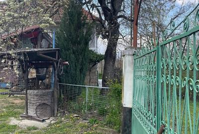 Casă cu Teren 6000 Mp în Central - 1