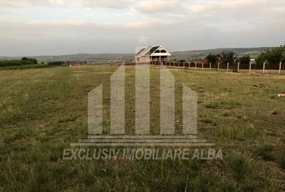 Teren intravilan de 7580 mp, în Pâclișa
