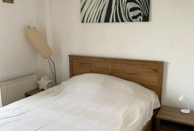 Apartament cu 2 camere semidecomandat, mobilat în Ozana - 2