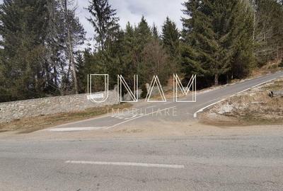 Teren de 2172 mp, în Gărâna - 16