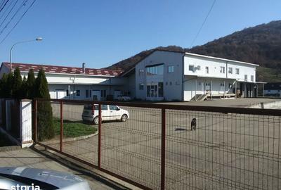 Spațiu comercial, de 1,712 mp, în Baia de Criș - 1