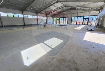 Spațiu industrial, de 200 mp, în Cernica - 6