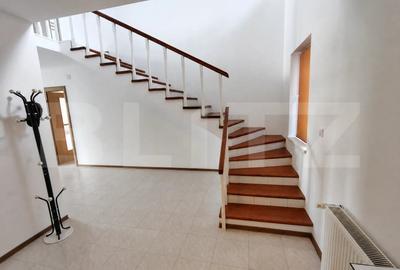 Casă individuală cu 6 camere cu Teren 4472 Mp în Tureni - 3