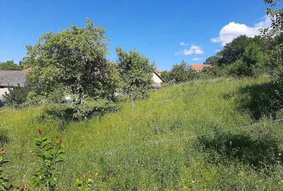 Teren de 410 mp, în Cerișor - 2