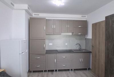 Apartament cu 2 camere decomandat în Dezmir - 3