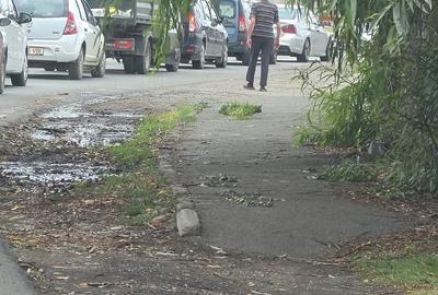 Teren de 500 mp, în Central - 1