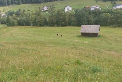 Teren de 24134 mp, în Ciocănești - 7