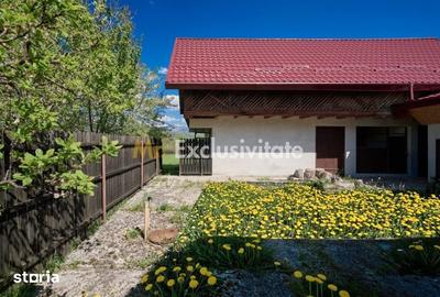 Casă cu 4 camere cu Teren 9915 Mp în Valea Mare
