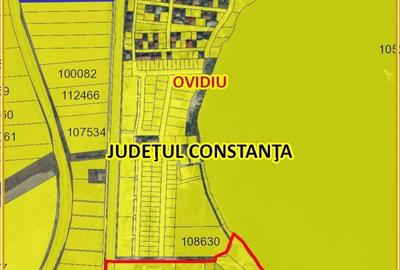 Teren de 5000 mp, în Sud - 7
