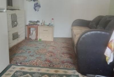 Casă individuală cu 2 camere cu Teren 1420 Mp în Baia de Criș