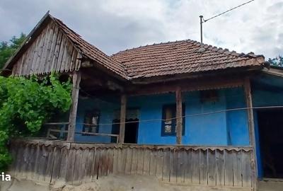 Casă cu 2 camere în Central